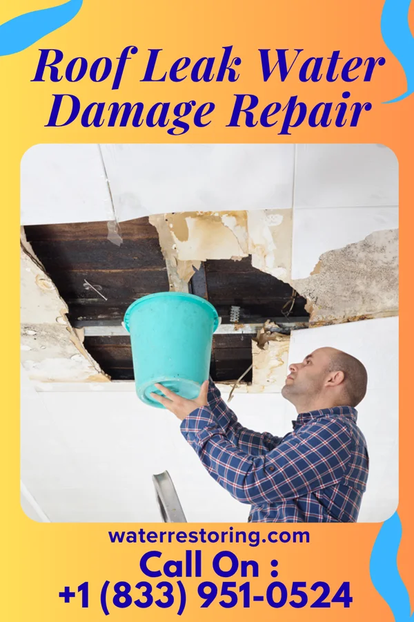 Roof Leak Water Damage Repair in Liberty, TX