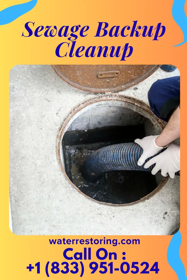 Sewage Backup Cleanup in Liberty, TX